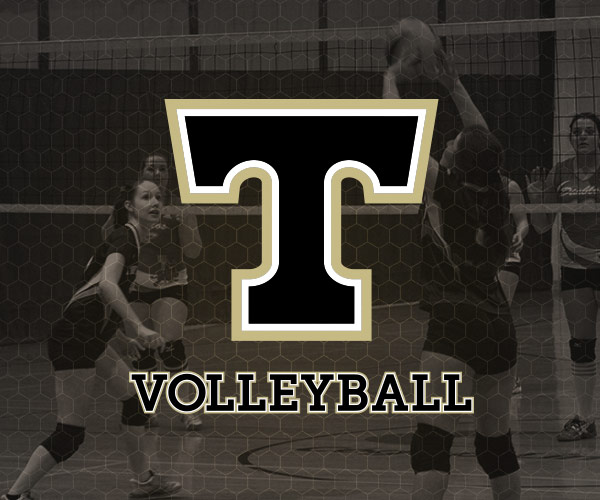 Icône Volleyball