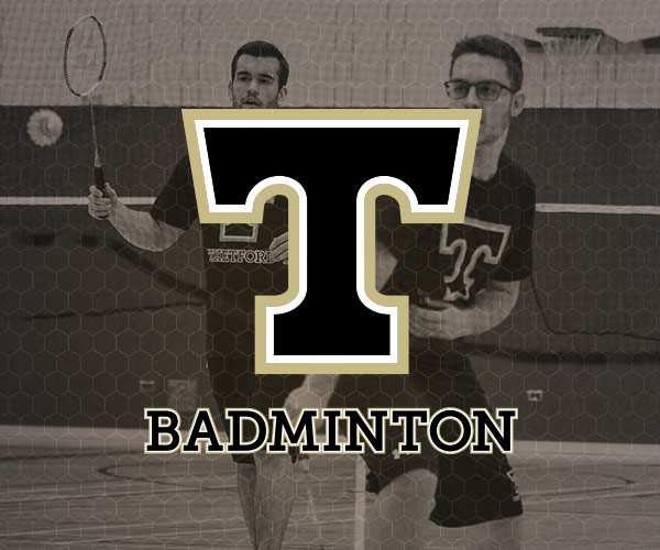 Icône Badminton