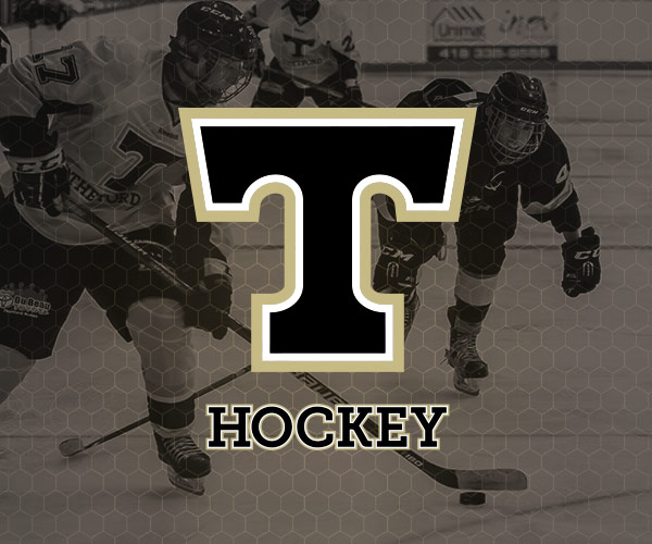 Icône Hockey