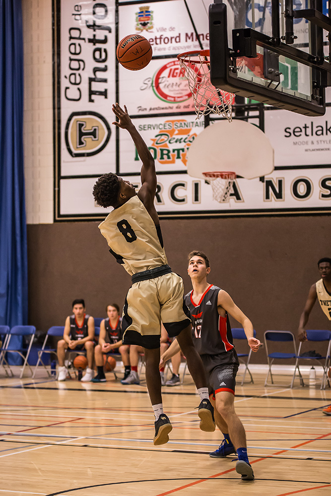 Featured image for “Les Filons basket à deux victoires d’une saison parfaite”