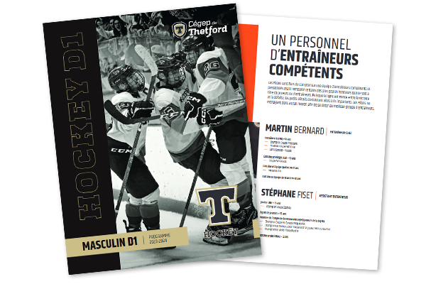 Image de la brochure de hockey