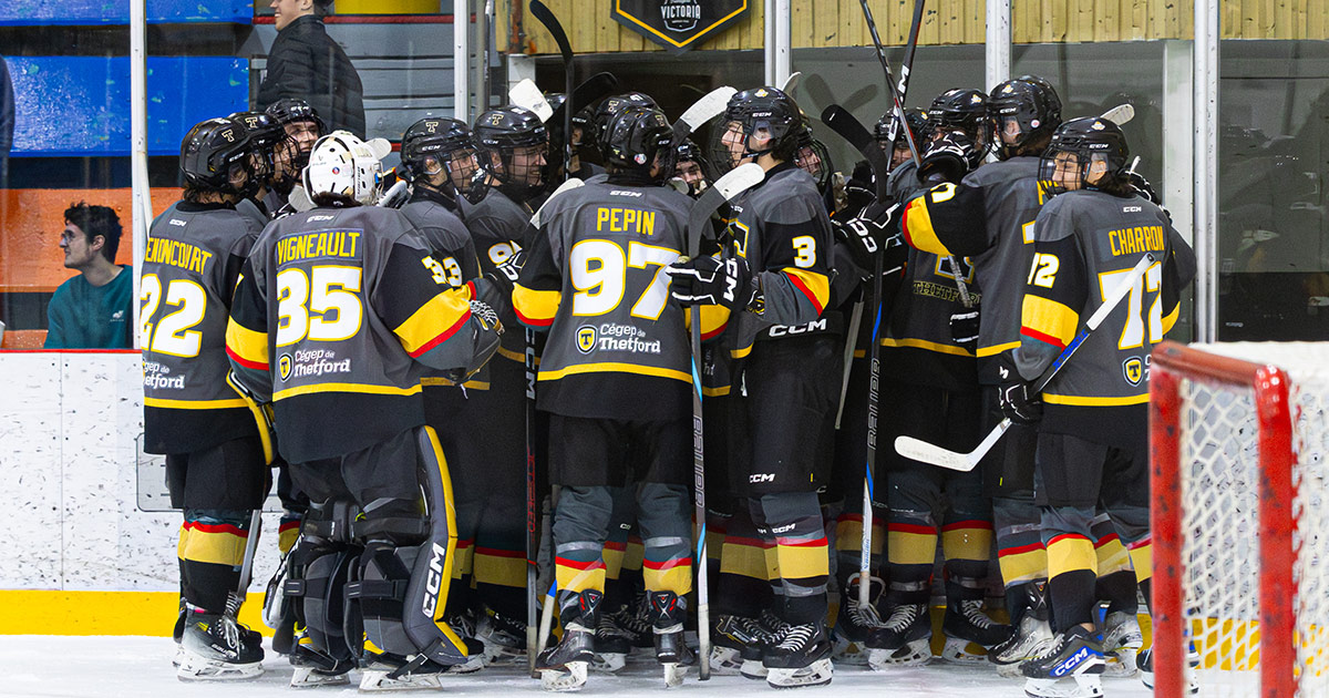 Featured image for “Les Filons hockey D-2 couronnés de bronze”